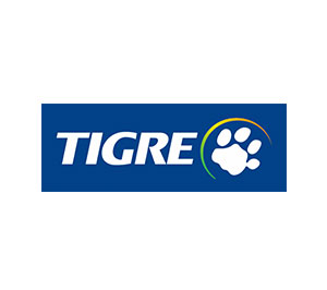 Tigre